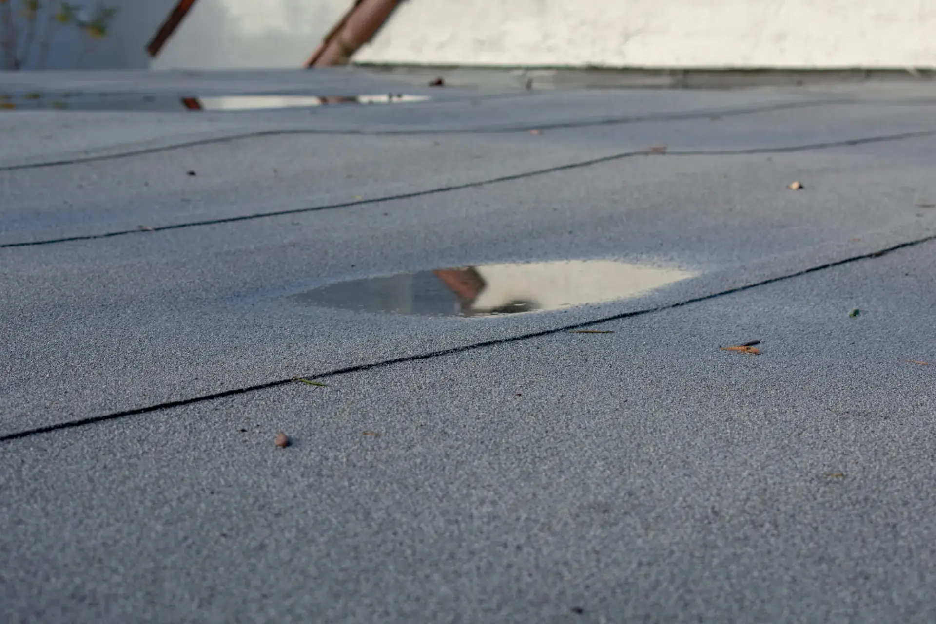 Roof inspection and leak detection
