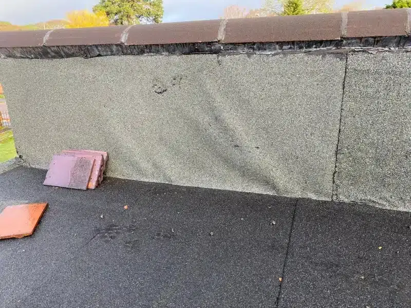 Branders Lane, Christchurch, photo 14