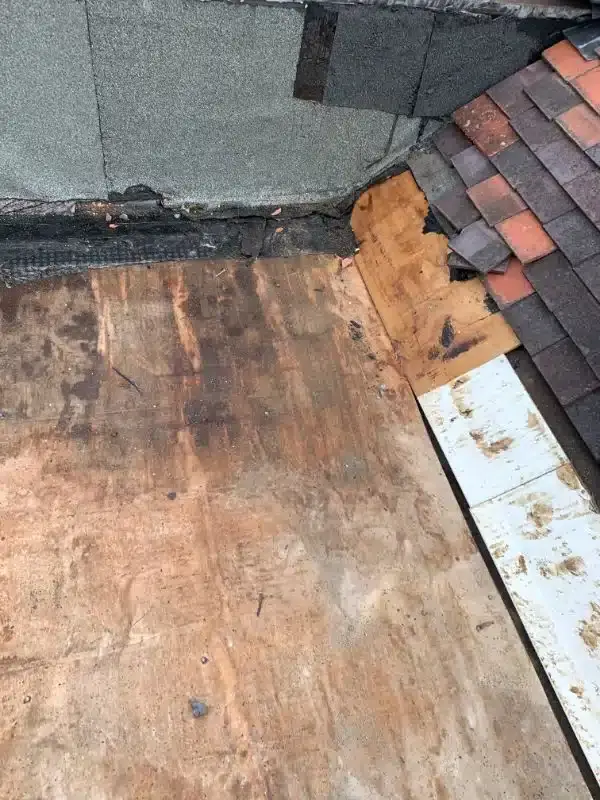 Branders Lane, Christchurch, photo 8