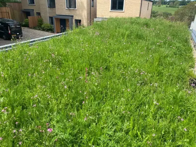 Chilbolton Avenue, Winchester, photo 19