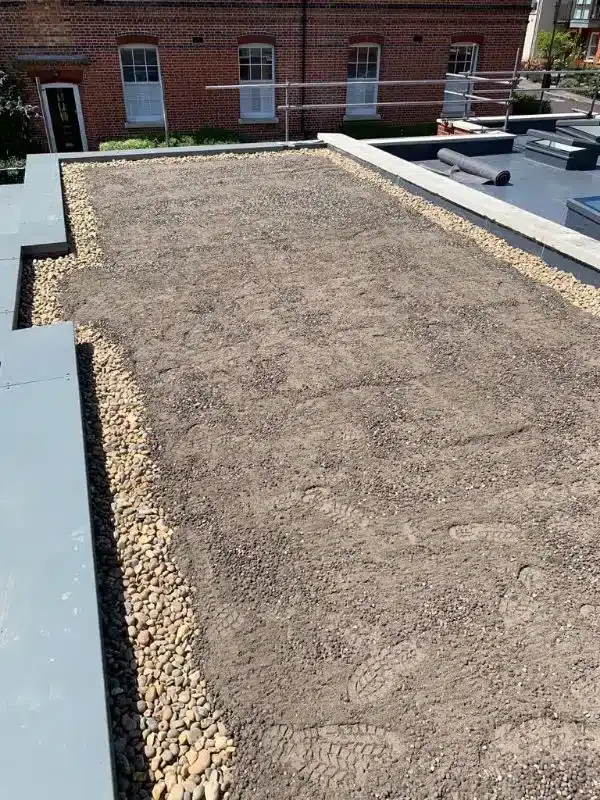 Green Roof, Winchester, photo 9