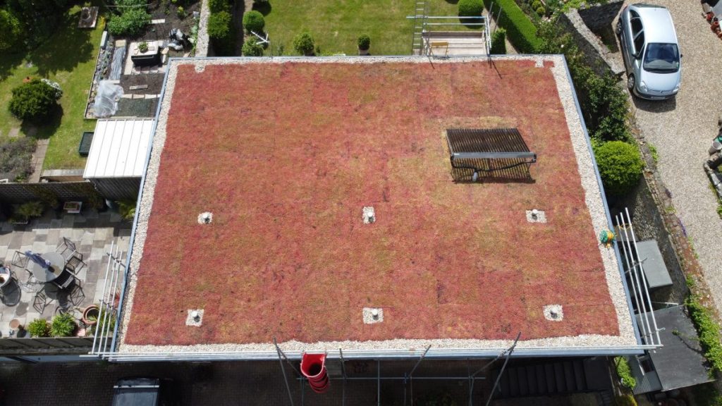 green roofs
