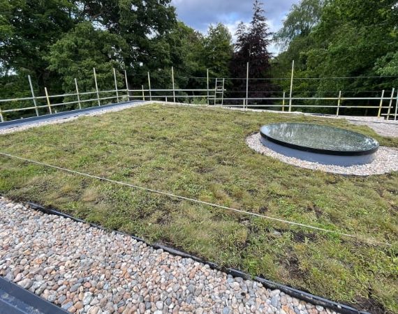 upton green roof
